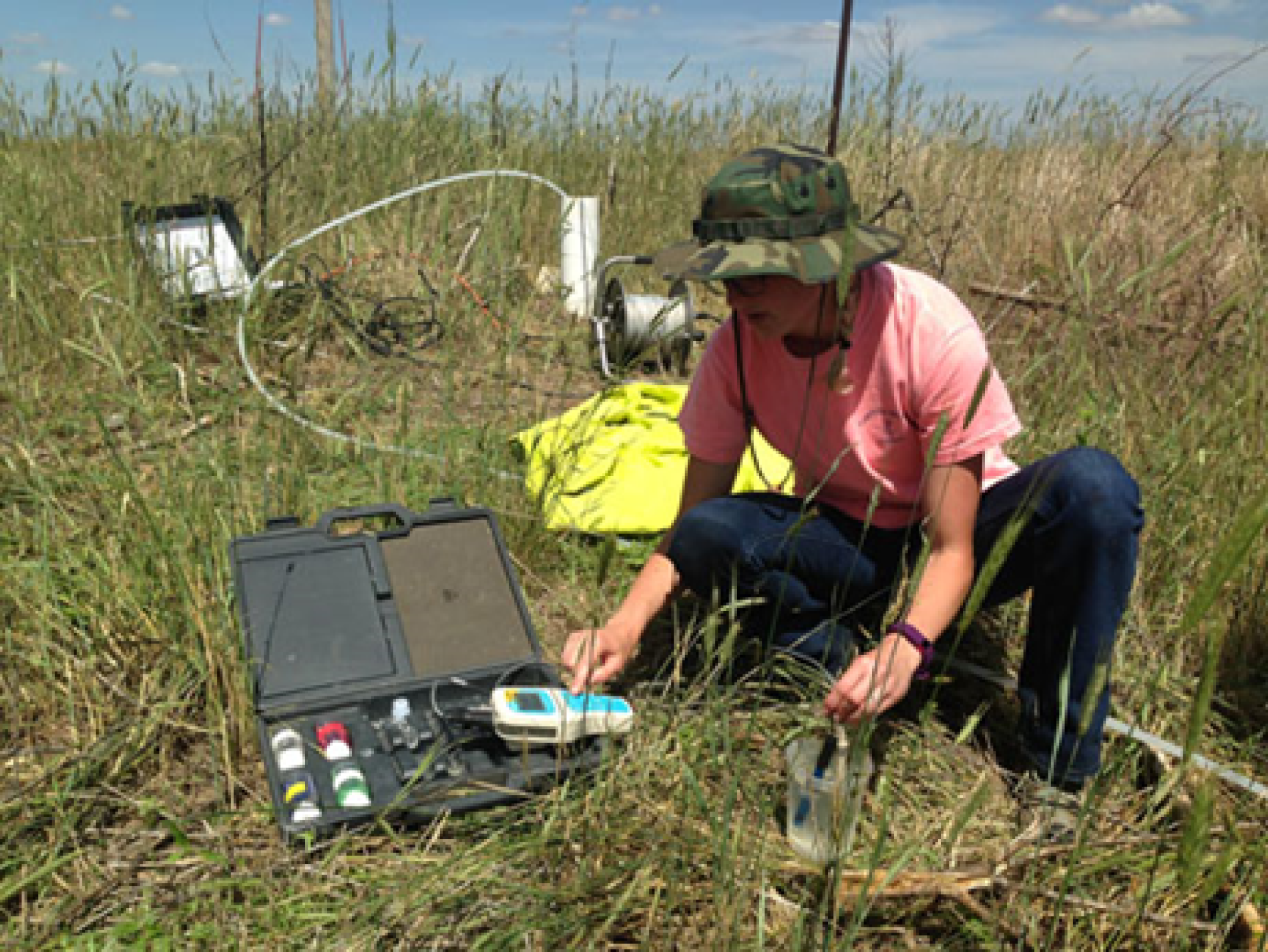 fieldwork (3)